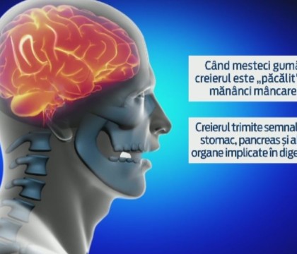 Cate gume pe zi avem voie si de ce nu trebuie mestecate mai mult de 20 de minute. Avertismentul medicilor Cate gume pe zi avem voie si de ce nu trebuie mestecate mai mult de 20 de minute. Avertismentul medicilor