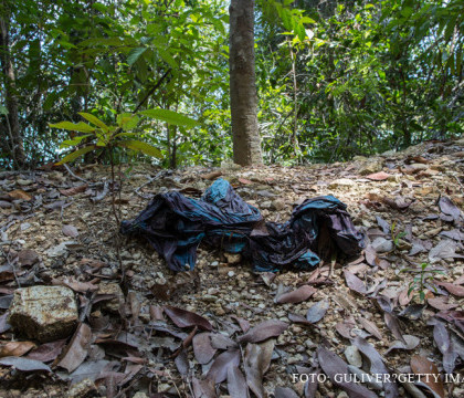 Autoritatile din Malaysia au descoperit gropi comune unde erau aruncate cadavrele imigrantilor. "Nu stim cate sunt in total" Autoritatile din Malaysia au descoperit gropi comune unde erau aruncate cadavrele imigrantilor. "Nu stim cate sunt in total"