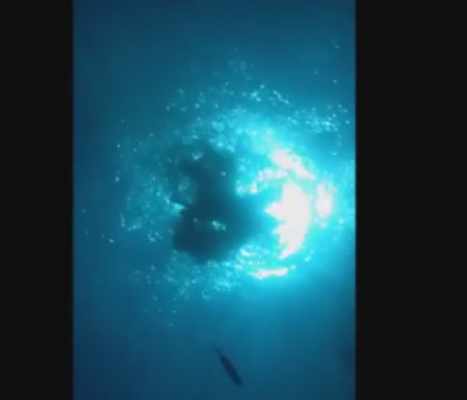 Imagini spectaculoase, surprinse de un iPhone scapat in ocean. Ce apare in filmare cand ajunge la fund. VIDEO