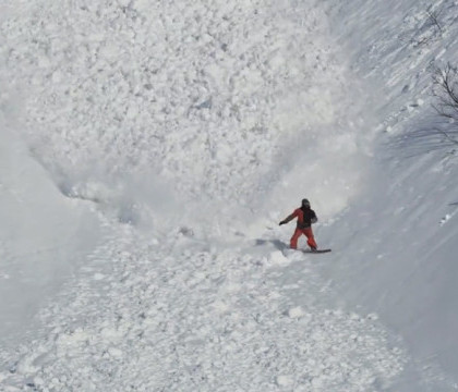 Un iepure din Rusia a invins furia naturii. "Super-urecheatul" din Kamceatka a trecut nevatamat printr-o avalansa Un iepure din Rusia a invins furia naturii. "Super-urecheatul" din Kamceatka a trecut nevatamat printr-o avalansa