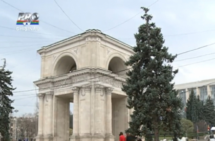 Primaria cauta bradul de Craciun, care va fi in PMAN. Grozavu: " Nu suntem in concurenta cu Guvernul", Radu: " Cu cat mai multi brazi, cu atat mai bine"