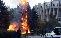VIDEO. Nimeni nu-si poate explica de ce au facut asta. Ce s-a intamplat cu brazii din fata Circului VIDEO. Nimeni nu-si poate explica de ce au facut asta. Ce s-a intamplat cu brazii din fata Circului