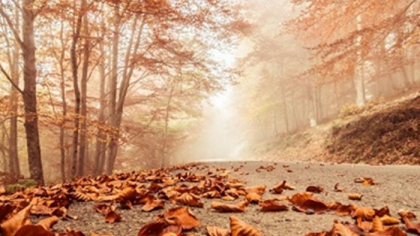 Meteorologii au prelungit avertizarea cod galben de seceta pe o mare parte a tarii. Unde si pana cand este valabil anuntul. Ce maxime vom avea astazi - FOTO