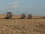 Agricultura fara aratura. Ce tehnologie revolutionara propun autoritatile pentru fermieri Agricultura fara aratura. Ce tehnologie revolutionara propun autoritatile pentru fermieri