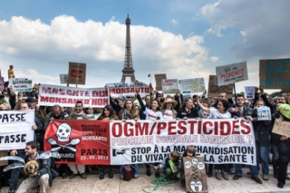 Intreaga Europa a protestat impotriva alimentelor modificate genetic. Vezi ce alte produse toxice au fost aprobate de Uniunea Europeana Intreaga Europa a protestat impotriva alimentelor modificate genetic. Vezi ce alte produse toxice au fost aprobate de Uniunea Europeana