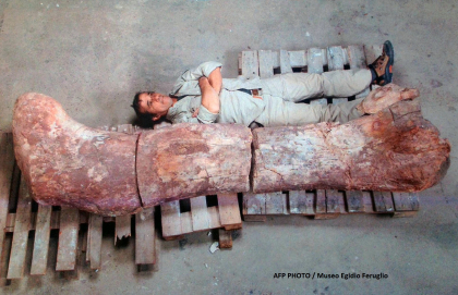 FOTO. Cel mai mare dinozaur descoperit vreodata are 40 de metri lungime. Scheletul sau a fost gasit recent in Argentina FOTO. Cel mai mare dinozaur descoperit vreodata are 40 de metri lungime. Scheletul sau a fost gasit recent in Argentina