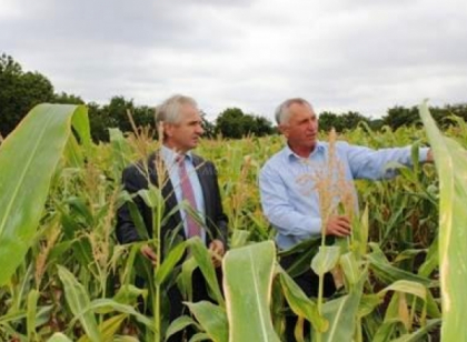 Doi deputati democrati sustin ca o intreprindere de stat a lasat in paragina terenurile agricole- mold-street.com Doi deputati democrati sustin ca o intreprindere de stat a lasat in paragina terenurile agricole- mold-street.com
