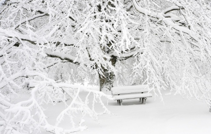 Dimineata cu ceata. Ce temperaturi vom avea astazi, dar si unde va ninge. Prognoza meteo - FOTO