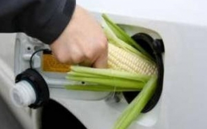 O bacterie straveche si multa chimie, o posibila reteta pentru "benzina verde" a viitorului O bacterie straveche si multa chimie, o posibila reteta pentru "benzina verde" a viitorului