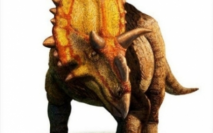 O noua specie de dinozaur a fost identificata. Cantarea 2 tone si avea "coarne de extraterestru"