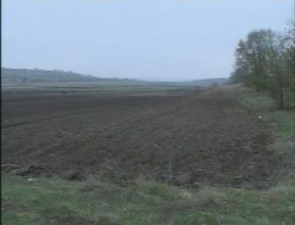 Agricultorii care nu-si lucreaza terenurile vor fi amendati! Ce risca daca lasa pamantul in paragina