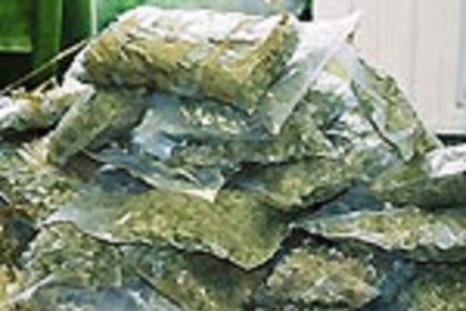 Cazul de contrabanda cu 50 de kilograme de hasis, a ajuns pe masa judecatorilor Cazul de contrabanda cu 50 de kilograme de hasis, a ajuns pe masa judecatorilor