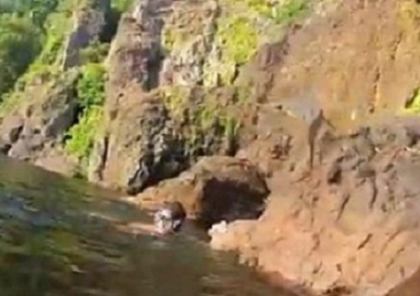 Cea mai mare sperietura din viata acestui om. Cum a fost atacat de un crocodil "zburator". VIDEO