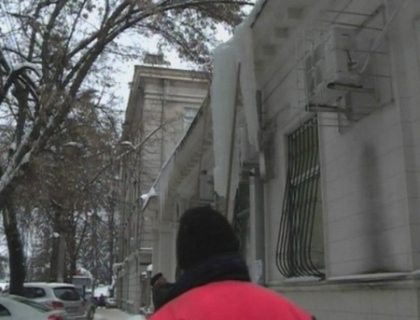 Se intampla in Chisinau! O femeie a ajuns la reanimare dupa ce un turture i-a cazut in cap Se intampla in Chisinau! O femeie a ajuns la reanimare dupa ce un turture i-a cazut in cap