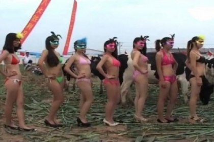 Imaginile pe care nu le poti rata! Modele in bikini la prima editie "Miss Vacuta" - VIDEO
