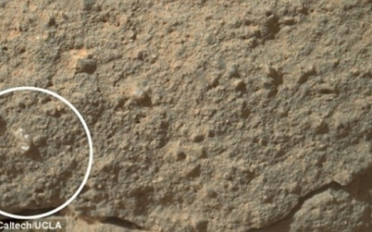 "Floarea" descoperita pe Marte. O imagine a Roverului Curiosity a aprins dezbaterile la NASA "Floarea" descoperita pe Marte. O imagine a Roverului Curiosity a aprins dezbaterile la NASA