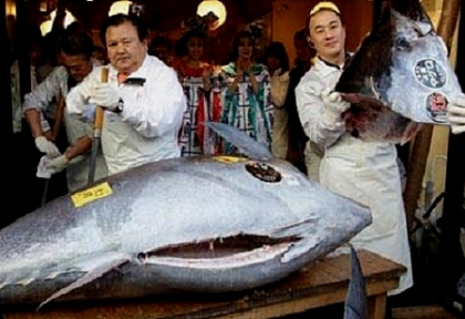 Peste de un MILION de dolari! Un ton rosu a fost cumparat la o licitatie in Japonia Peste de un MILION de dolari! Un ton rosu a fost cumparat la o licitatie in Japonia