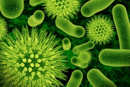 Descopera 5 locuri surprinzatoare unde se ascund microbii in casa ta