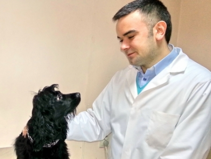 Expertul Artiom Sevcenco: Cum recunosti primele semne de boala la animalutul tau companie