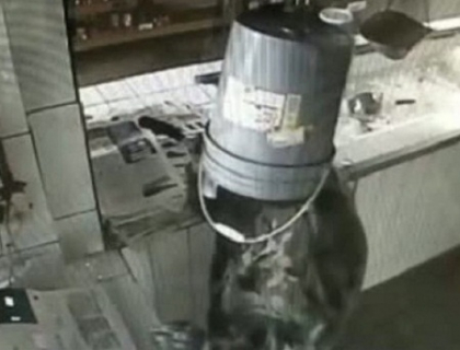 Un hot cu galeata la cap. A incercat sa jefuiasca restaurantul de unde fusese concediat. VIDEO