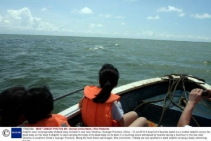Fotografiile pe care turistii le-au facut cu ochii in LACRIMI. O mama-delfin cara in spate puiul mort
Fotografiile pe care turistii le-au facut cu ochii in LACRIMI. O mama-delfin cara in spate puiul mort
