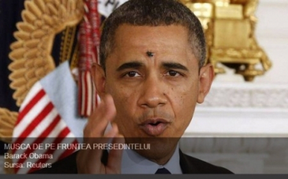 FOTO. Moment bizar. O musca s-a asezat pe fruntea lui Obama
FOTO. Moment bizar. O musca s-a asezat pe fruntea lui Obama