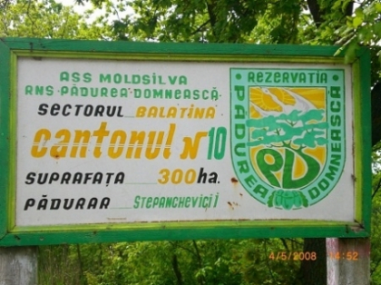 Audierile in cazul Sorin Paciu continua. Cine se va prezenta azi in fata comisiei Audierile in cazul Sorin Paciu continua. Cine se va prezenta azi in fata comisiei