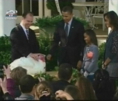 Presedintele american Barack Obama a gratiat doi curcani Presedintele american Barack Obama a gratiat doi curcani