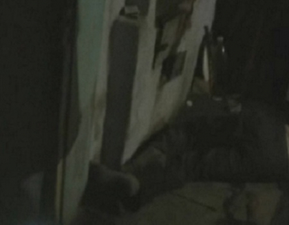 A incercat sa-si impace fiii, dar l-a omorat pe unul dintre ei. Ce a facut mai departe femeia. VIDEO A incercat sa-si impace fiii, dar l-a omorat pe unul dintre ei. Ce a facut mai departe femeia. VIDEO