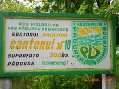 Raportul comisiei de ancheta in cazul mortii lui Sorin Paciu, prezentat  in fata deputatilor
