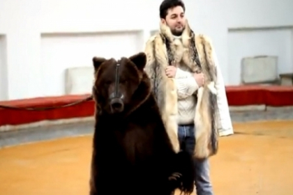 A cantat pentru urs pentru a nu primi o laba... dupa ceafa! Cum s-a descurcat Adrian Ursu cu fiorosul animal - VIDEO
A cantat pentru urs pentru a nu primi o laba... dupa ceafa! Cum s-a descurcat Adrian Ursu cu fiorosul animal - VIDEO