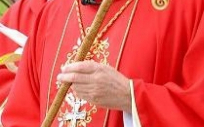 "Biserica s-ar schimba radical". Ce propune un cardinal, candidat pentru a fi noul Suveran Pontif "Biserica s-ar schimba radical". Ce propune un cardinal, candidat pentru a fi noul Suveran Pontif