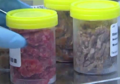 Carne de cal, descoperita in Portugalia in produse Auchan si El Corte Ingles