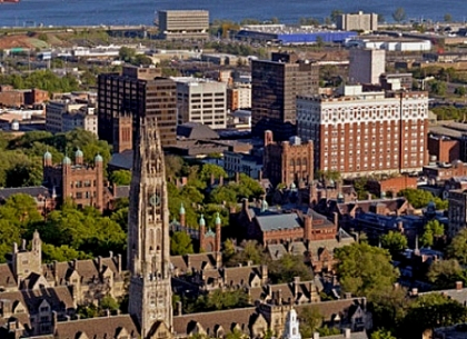 Studiu: 3% dintre studentii de la Yale au facut sex cu animale. 22% nu au avut partener sexual