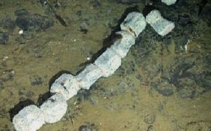 Descoperire in premiera pe fundul oceanului. "Trebuie sa ai mult noroc sa vezi asa ceva" Descoperire in premiera pe fundul oceanului. "Trebuie sa ai mult noroc sa vezi asa ceva"