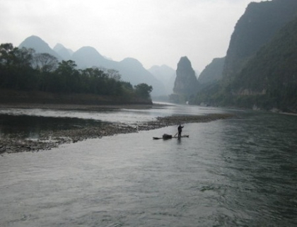 O mie de rate moarte au fost descoperite intr-un rau din China