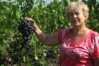Iulia Murea, economistul devenit viticultor. Descopera povestea femeii care exporta cei mai frumosi struguri
Iulia Murea, economistul devenit viticultor. Descopera povestea femeii care exporta cei mai frumosi struguri