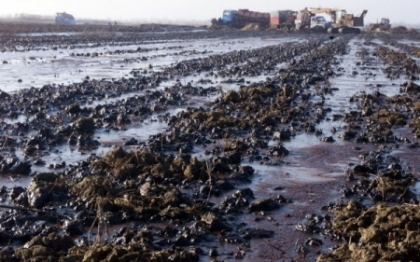 Dezastru ecologic in Arkansas, SUA, dupa ce 12.000 barili de petrol s-au scurs intr-o conducta