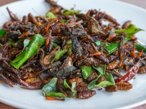 Insectele, mai hranitoare decat carnea de vita si pui! Iata explicatia specialistilor
