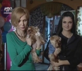 Regina glamurului printre caini si-a sarbatorit aniversarea de 6 ani Regina glamurului printre caini si-a sarbatorit aniversarea de 6 ani