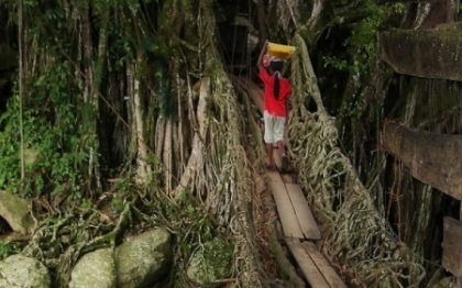 Imagini spectaculoase cu "podul viu" din Indonezia, construit in 26 de ani: e unic in lume
