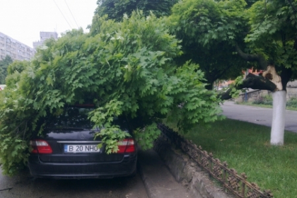S-a trezit cu un copac peste el! Ce ghinion a avut soferul unui Mercedes parcat in sectorul Rascani!