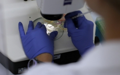 Premiera medicala controversata. Savantii americani au clonat embrioni umani din celule ale pielii