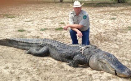 Aligator urias capturat de un tanar de 18 ani din SUA. A stabilit un nou record in Texas. FOTO Aligator urias capturat de un tanar de 18 ani din SUA. A stabilit un nou record in Texas. FOTO