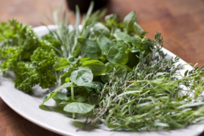 Combinatii reusite. Cum sa folosesti rapid ierburi aromatice Combinatii reusite. Cum sa folosesti rapid ierburi aromatice
