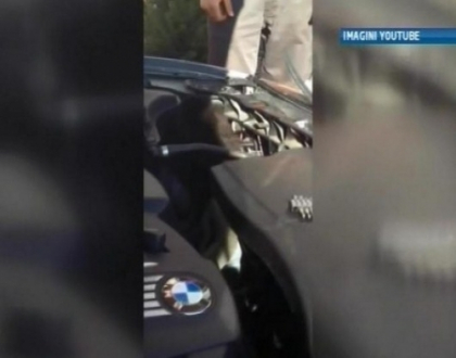 Dovada ca pisicile au noua vieti. Cum a supravietuit o felina sub capota unui BMW