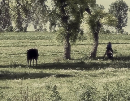 Rapusa de fulger, chiar sub privirile sotului ei. Moartea unei femei din Camenca a socat intregul sat Rapusa de fulger, chiar sub privirile sotului ei. Moartea unei femei din Camenca a socat intregul sat