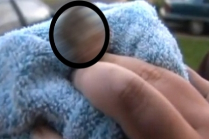 Sa vezi si sa nu crezi: O pisica a nascut un pui cu doua CAPETE - VIDEO