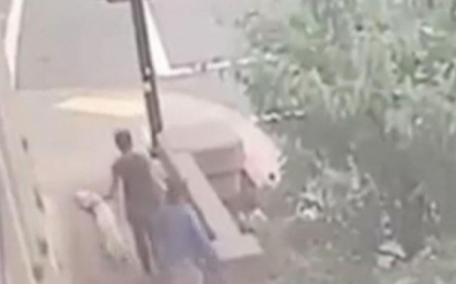 VIDEO. Catelul erou. Cum si-a salvat de la moarte stapanii, in ultima clipa