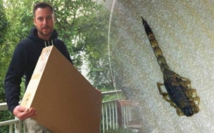 Si-a cumparat un carucior de la Ikea. Ce a descoperit acest barbat cand a deschis cutia acasa Si-a cumparat un carucior de la Ikea. Ce a descoperit acest barbat cand a deschis cutia acasa
